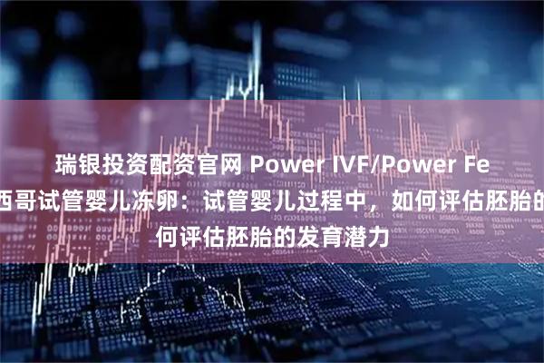 瑞银投资配资官网 Power IVF/Power Fertility 墨西哥试管婴儿冻卵：试管婴儿过程中，如何评估胚胎的发育潜力