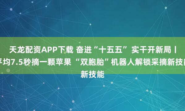 天龙配资APP下载 奋进“十五五” 实干开新局丨平均7.5秒摘一颗苹果 “双胞胎”机器人解锁采摘新技能