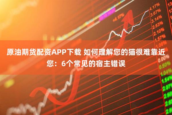 原油期货配资APP下载 如何理解您的猫很难靠近您:6个常见的宿主错误