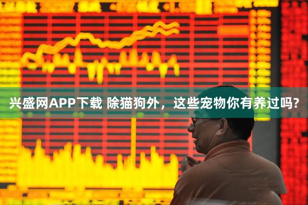 兴盛网APP下载 除猫狗外,这些宠物你有养过吗?